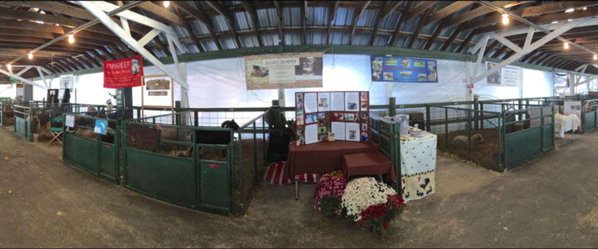 NYS Sheep and Wool Family Festival