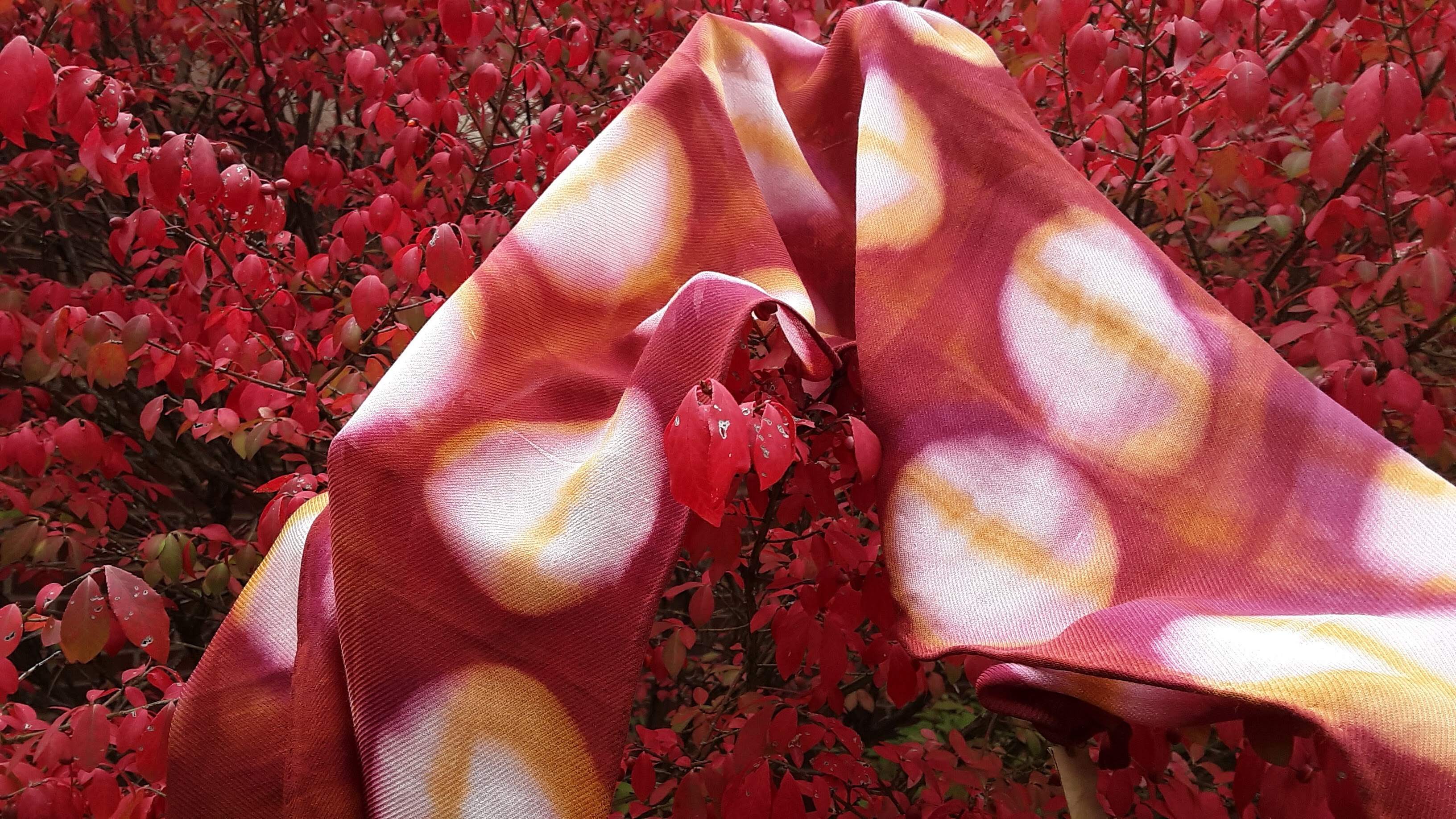 Catalog Sheep and Wool Festival