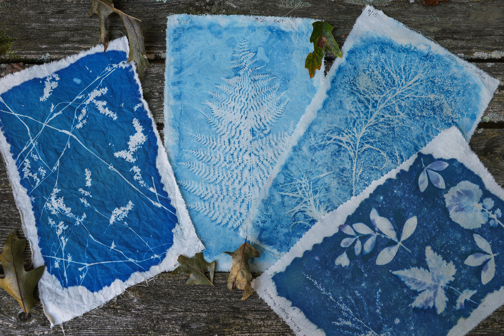 Catalog Sheep and Wool Festival