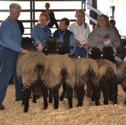 2013 Sheep Show