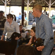 2013 Sheep Show