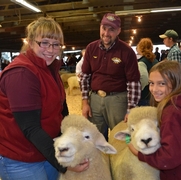 2013 Sheep Show