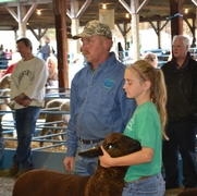 2013 Sheep Show