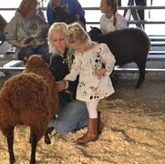 2013 Sheep Show