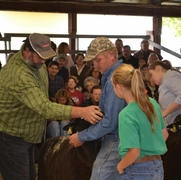 2013 Sheep Show